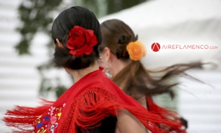 Flamenco con más de 15 millones de reproducciones en un mes, en Aireflamenco.com
