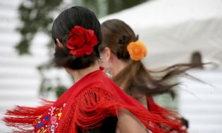 El origen y destino del flamenco